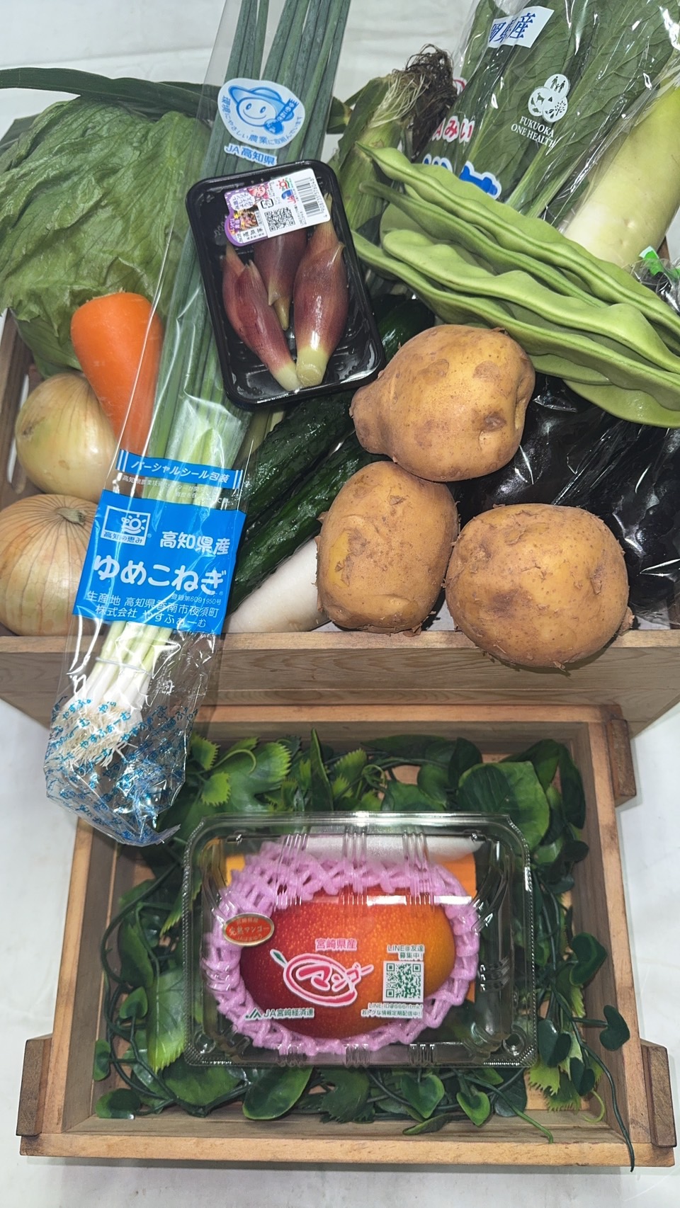 野菜・果物詰め合わせ
